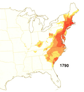 Density Map