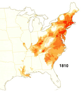 Density Map